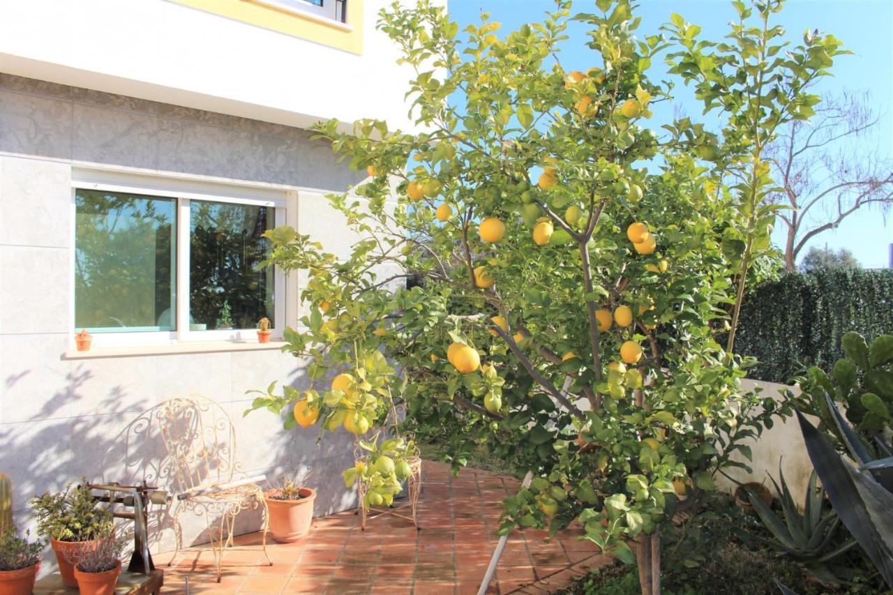 Villa Do Limao Тавира Екстериор снимка